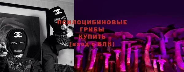 прущие грибы Беломорск