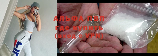 прущие грибы Беломорск
