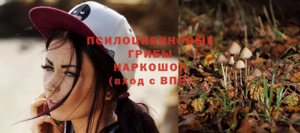 spice Белокуриха