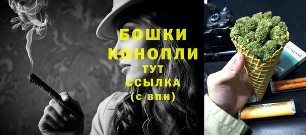 spice Белокуриха