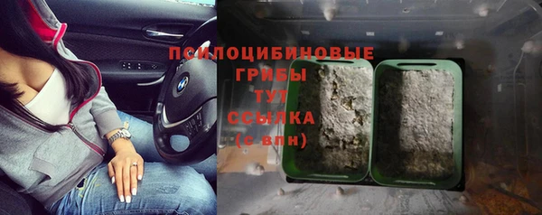 spice Белокуриха