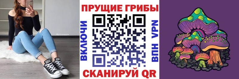 Галлюциногенные грибы Magic Shrooms  это наркотические препараты  Маркс  купить наркотики сайты 